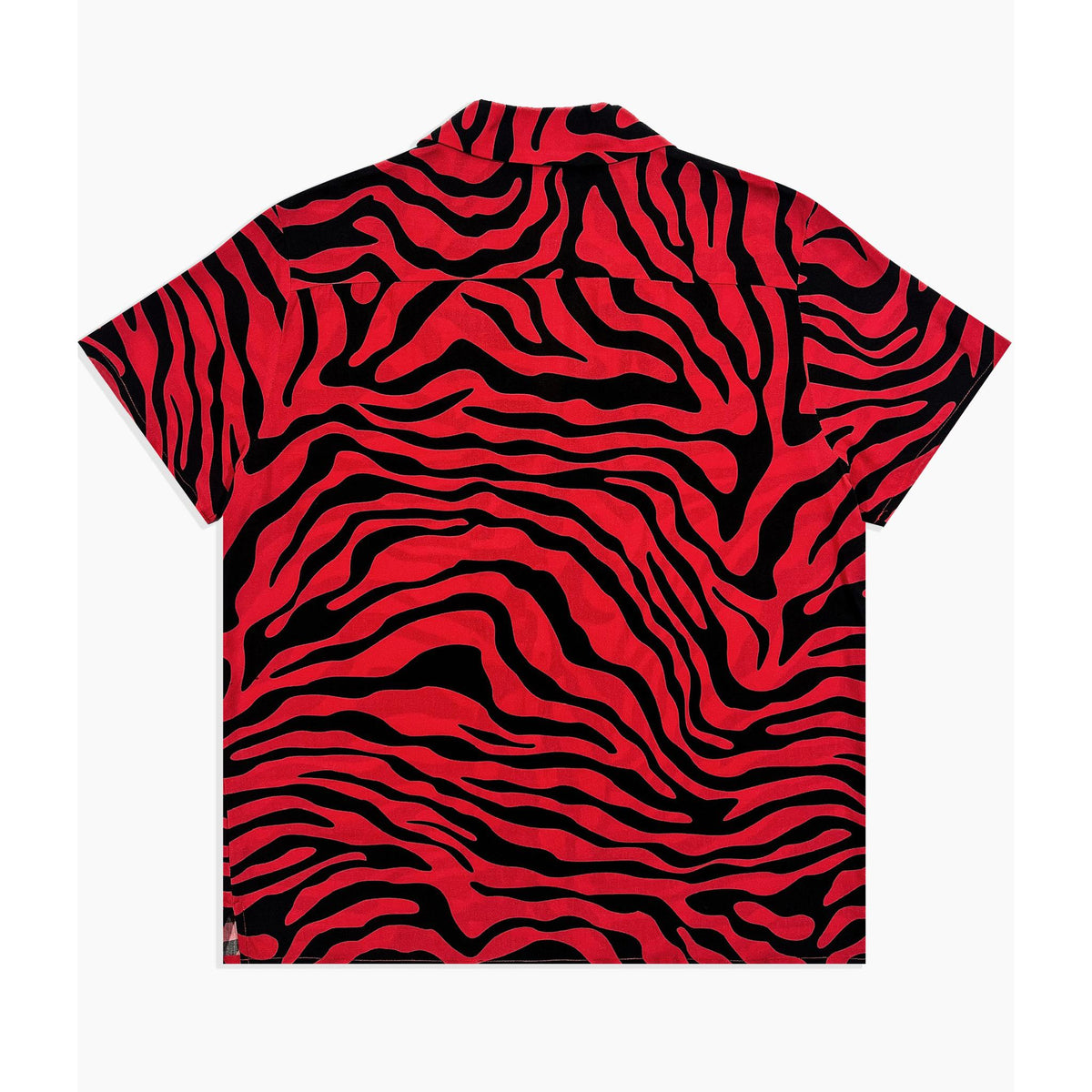 zebraback_1200x1200.jpg?v=