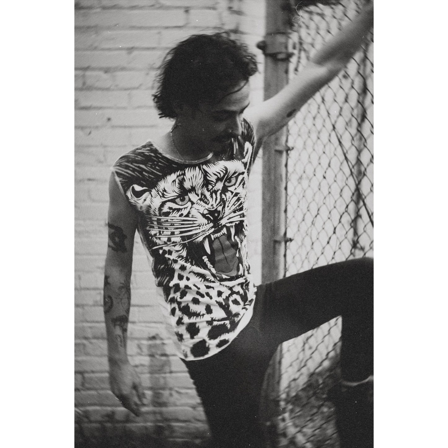 Vicious Leopard